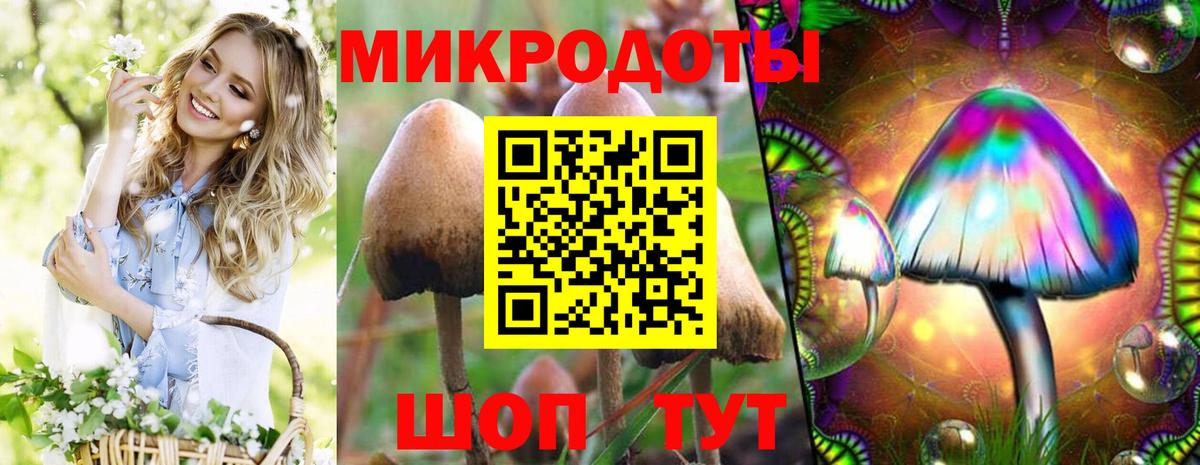 Псилоцибиновые грибы Magic Shrooms Жигулёвск