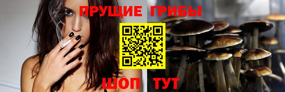 Псилоцибиновые грибы Psilocybe  Псилоцибиновые грибы Psilocybine cubensis  купить  цена  Жигулёвск  Вход с VPN 