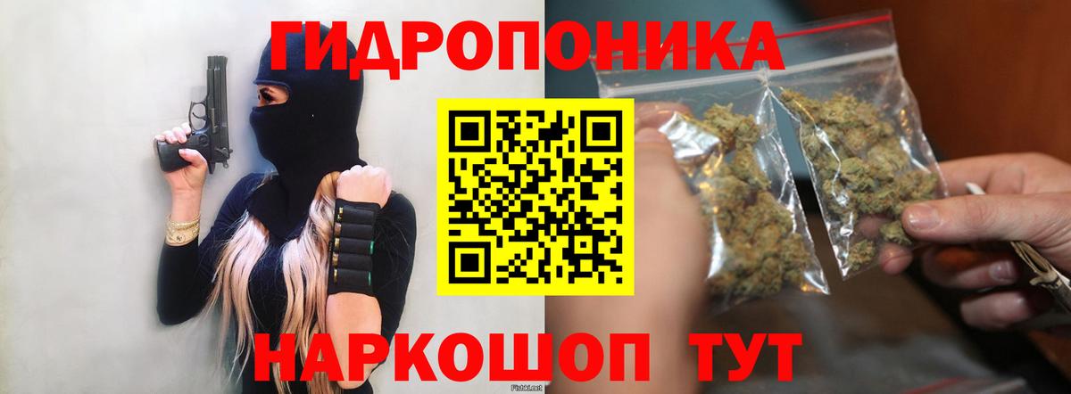 Бошки марихуана план  Бошки Шишки AK-47  Шишки марихуана SATIVA & INDICA  Жигулёвск  Вход с VPN 
